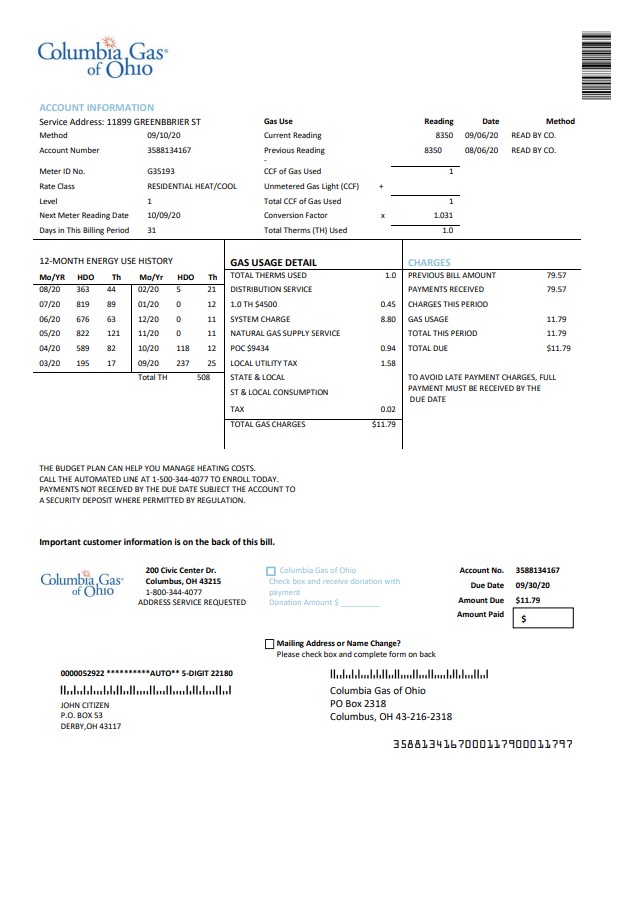 USA Columbia Gas of Ohio utility bill template in Word and PDF format